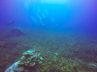Cientistas descobrem produção de oxigênio no fundo do mar que pode mudar o que sabemos da origem da vida