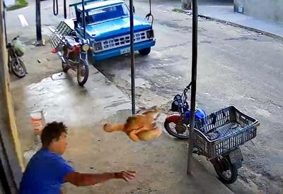 Vídeo: homem reage a assalto e atira frango assado em ladrão no Ceará
