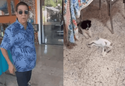 Zeca Pagodinho publica vídeo pedindo ajuda para encontrar gatinha sumida