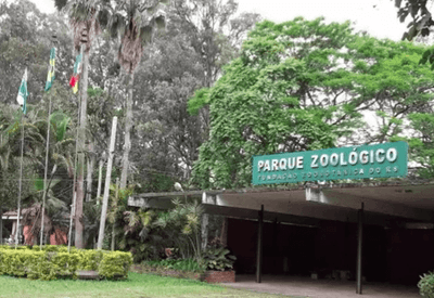 Morte de 15 cisnes suspende visitas a zoológico no Rio Grande do Sul