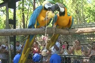 Zoológico do Rio de Janeiro prepara programação especial de verão