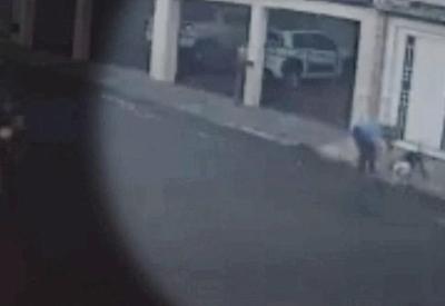 Pitbull ataca mulher e mata cachorro no interior de São Paulo