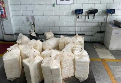 PF e Receita apreendem mais de 450 kg de cocaína no Porto de Santos