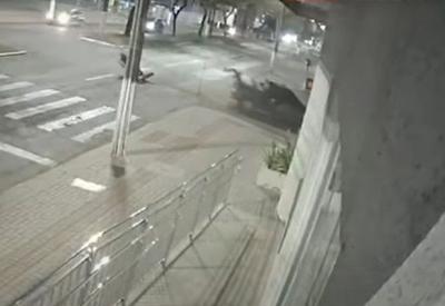 VÍDEO: Motociclista é carregado por 6km após cair em caçamba de picape em acidente