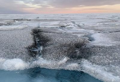 Vírus gigantes são encontrados na camada de gelo da Groenlândia