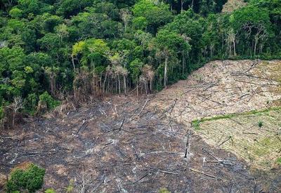 Amazônia: apenas 5% das multas aplicadas por desmatamento são pagas