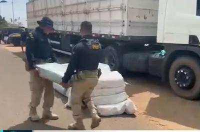 PRF apreende quase uma tonelada de maconha em caminhão no Maranhão