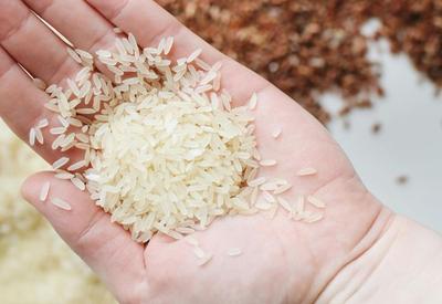 Governo federal define as regras para a importação de arroz
