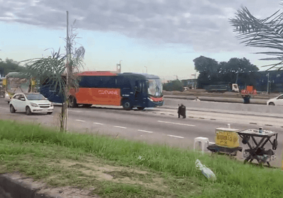 Assalto a ônibus no Rio causa pânico entre passageiros: "se entrega, mané"; veja vídeo