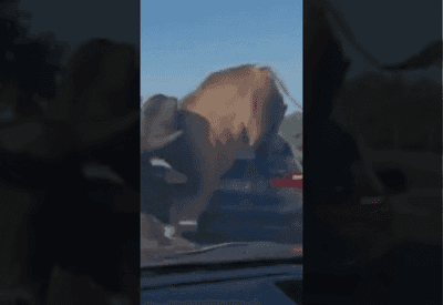 Touro solto persegue pedestre e pula em carros em Ribeirão Preto (SP)