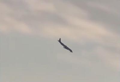 Sistema de defesa aérea russo provocou queda de avião da Embraer no Cazaquistão, diz agência