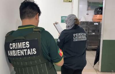 Ex-secretária de Bem-Estar Animal de Canoas é investigada por "matança" de cães resgatados