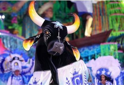 Tricampeão: Boi Caprichoso é vencedor do Festival de Parintins 2024 