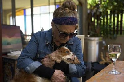 Cachorra é devolvida para família 18 meses após ataque do Hamas em Israel