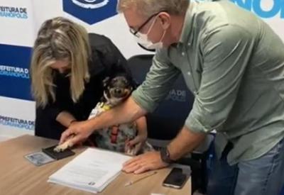Vídeo: cachorro assina projeto de lei para tratamento de leishmaniose em SC