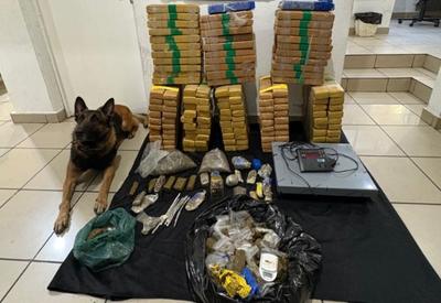 Cão da PM encontra 170 kg de maconha escondidos em casa na zona oeste de SP
