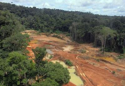 Conflitos no campo provocaram a morte de 35 pessoas no Brasil em 2021