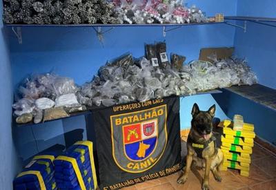 Cão da PM de SP encontra passagem secreta com 156 kg de drogas 
