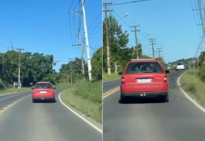 VÍDEO: carro é flagrado com bezerro no porta-malas em rodovia do Paraná