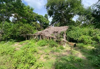 Cães confirmam que irmãos desaparecidos em Bacabal (MA) estiveram em casa abandonada com primo