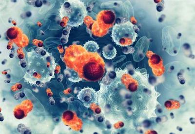 Rússia anuncia vacina contra o câncer; cientistas duvidam