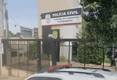 Menino de 3 anos morre após ser esquecido dentro do carro pela tia no interior de SP