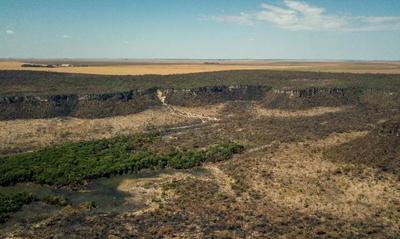 Cerrado passa pela pior seca em sete séculos, indica pesquisa da USP