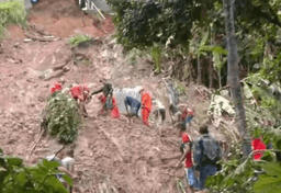 Imagem da notícia Chuvas intensas no Nordeste deixam 4 mortos e causam deslizamentos em Pernambuco