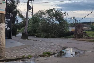 Semana começa com ciclone e ar frio em SP; saiba até quando dura a ventania e como ficará o tempo