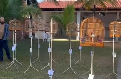 Polícia prende 20 pessoas em competição ilegal de canto de pássaros no RJ