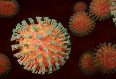 Butantan detecta três novas variantes do coronavírus em São Paulo