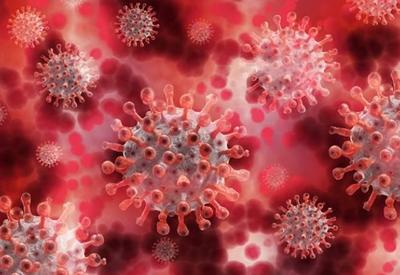 O que se sabe sobre a nova variante do coronavírus?