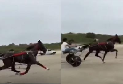 Cinco se tornam réus após ciclista ser atropelada e morta por corrida de charrete no litoral de São Paulo