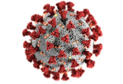 Pesquisa identifica gene que ajuda a bloquear infecções virais ao analisar casais durante pandemia
