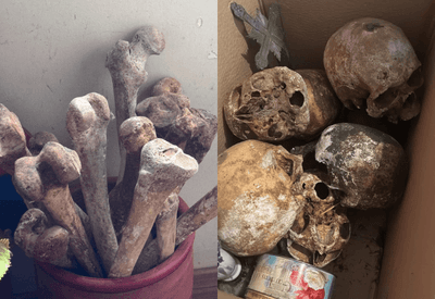 Crânios e outros ossos humanos são encontrados em apartamento de SP 