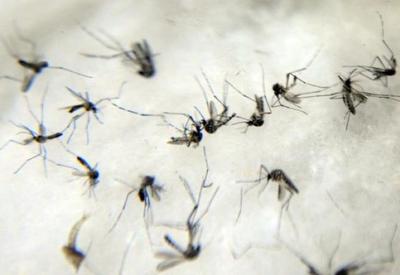 Total de infectados por dengue chega a 757 mil pessoas no país