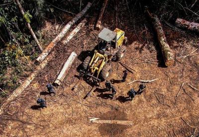 Alertas de desmatamento na Amazônia caem 64% em fevereiro