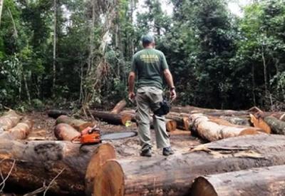 Mourão admite falta de integração de fiscais e militares na proteção da floresta