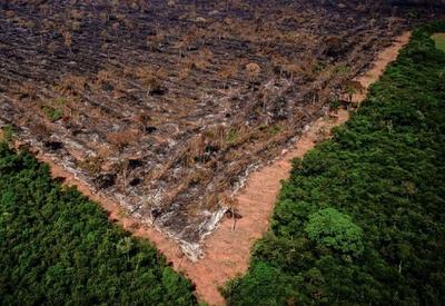 Desmatamento na Amazônia em agosto é o pior em 10 anos, mostra estudo
