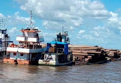 Madeira ilegal: PF e Marinha vão reforçar fiscalização na Amazônia