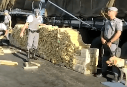 imagem da notícia Apreensões de drogas crescem mais de 50% em cinco meses em SP