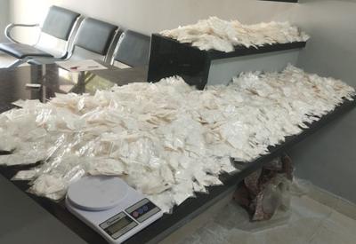  Adolescente é apreendida com mais de 13 mil porções de cocaína em SP