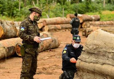 Força Nacional vai combater crimes ambientais na Amazônia Legal