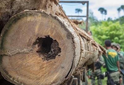 Bolsonaro flexibiliza exploração de madeira em terras indígenas