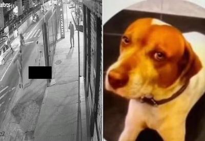 Homem mata cão comunitário a tiros na zona leste de SP