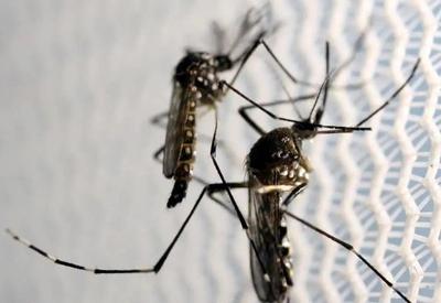 Governo de São Paulo confirma dois casos de febre oropouche no estado