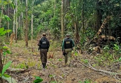 Alertas de desmatamento batem recorde na Amazônia em maio