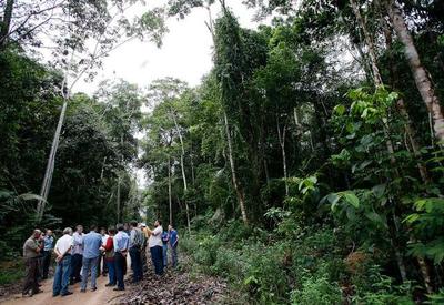 Governo analisa reestruturação de concessões florestais na Amazônia