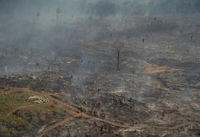 MPF investiga atuação do governo Bolsonaro na área ambiental