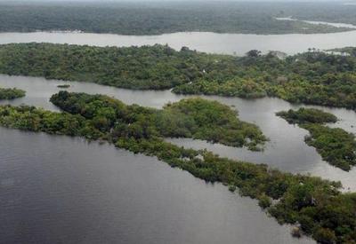 Militares publicam desinformação sobre a Amazônia, aponta Facebook